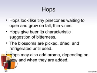 Hops
• Hops look like tiny pinecones waiting to
open and grow on tall, thin vines.
• Hops give beer its characteristic
suggestion of bitterness.
• The blossoms are picked, dried, and
refrigerated until used.
• Hops may also add aroma, depending on
how and when they are added.
 
