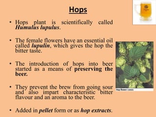 Beer | PPTX