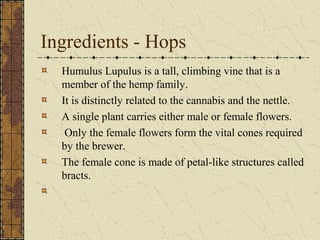 Ingredients - Hops
Humulus Lupulus is a tall, climbing vine that is a
member of the hemp family.
It is distinctly related to the cannabis and the nettle.
A single plant carries either male or female flowers.
Only the female flowers form the vital cones required
by the brewer.
The female cone is made of petal-like structures called
bracts.

 