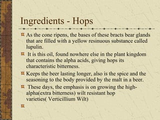 Ingredients - Hops
As the cone ripens, the bases of these bracts bear glands
that are filled with a yellow resinuous substance called
lupulin.
It is this oil, found nowhere else in the plant kingdom
that contains the alpha acids, giving hops its
characteristic bitterness.
Keeps the beer lasting longer, also is the spice and the
seasoning to the body provided by the malt in a beer.
These days, the emphasis is on growing the highalpha(extra bitterness) wilt resistant hop
varieties( Verticillium Wilt)

 