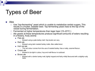 Beer_101.ppt