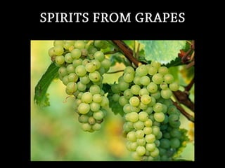 Beer and spirits_2
