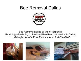 Bee Removal Dallas




             Bee Removal Dallas by the #1 Experts !
Providing affordable, professional Bee Removal service in Dallas
        Metroplex Area's. Free Estimates call 214-614-8447
 