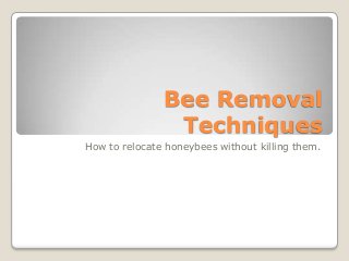 Bee Removal
Techniques
How to relocate honeybees without killing them.
 