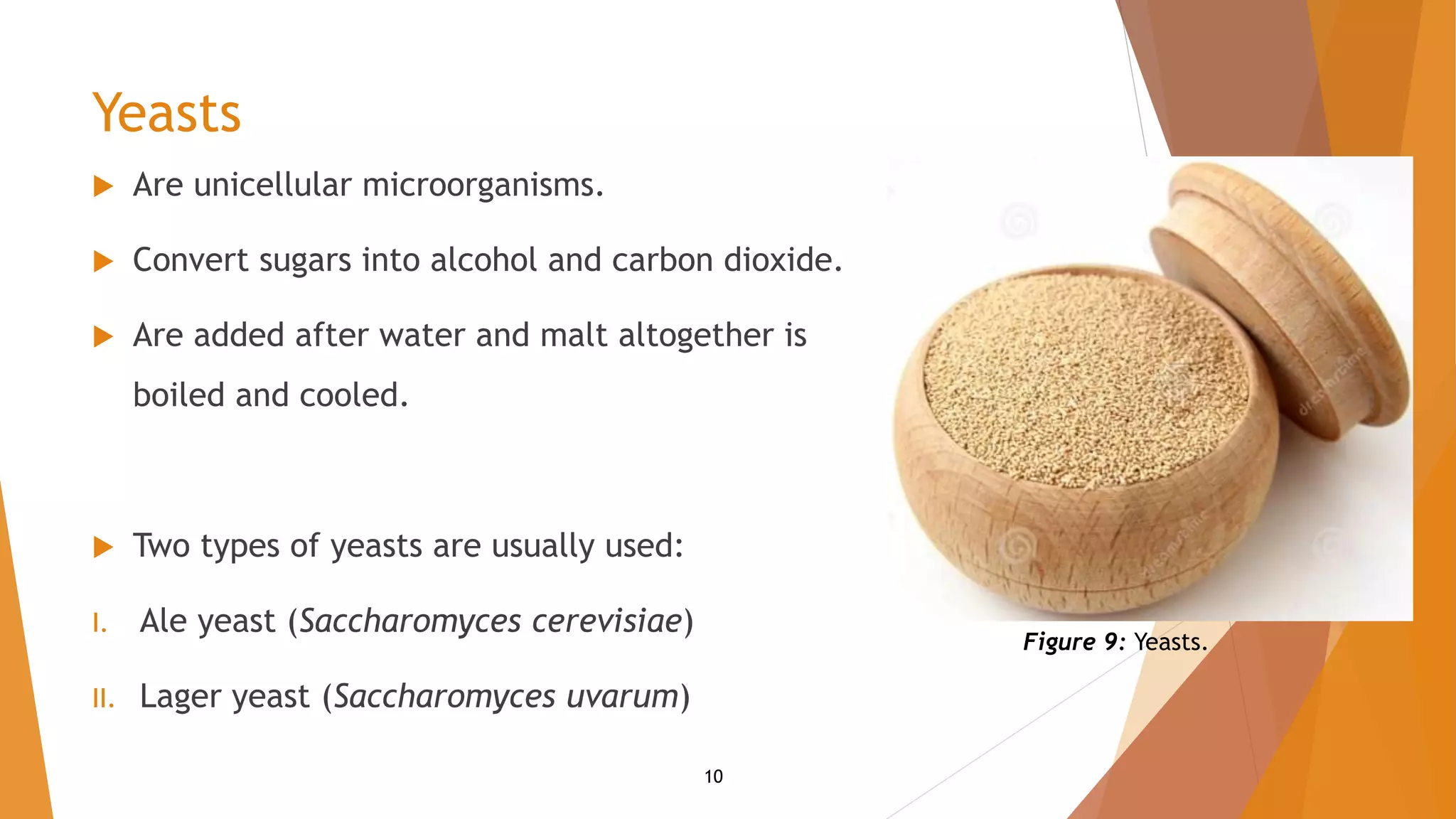 Beer fermentation | PPTX