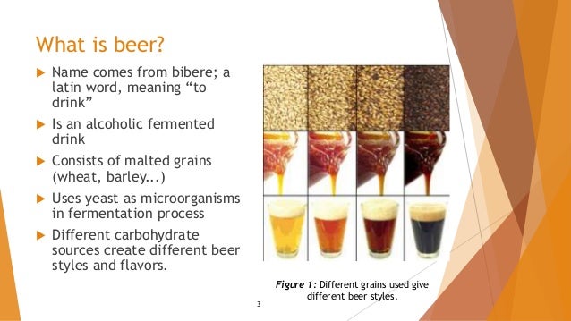Fermentation Of Beer Explained – DGAM