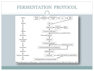 FERMENTATION PROTOCOL
 