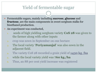 Yield of fermentable sugar
 Fermentable sugars, mainly including sucrose, glucose and
fructose, are the main components in sweet sorghum stalks for
bioethanol production.
 An experiment was conducted,
1. seeds of high yielding sorghum variety CoS 28 was given to
the farmer along with other inputs
2. crop was sown in September on one hectare
3. The local variety ‘Periyamanjal’ was also sown in the
adjacent field.
4. The variety CoS 28 recorded a grain yield of 1430 kg /ha
5. while the local variety yield was 760 kg./ha
6. Thus, an 88 per cent yield increase was registered
 