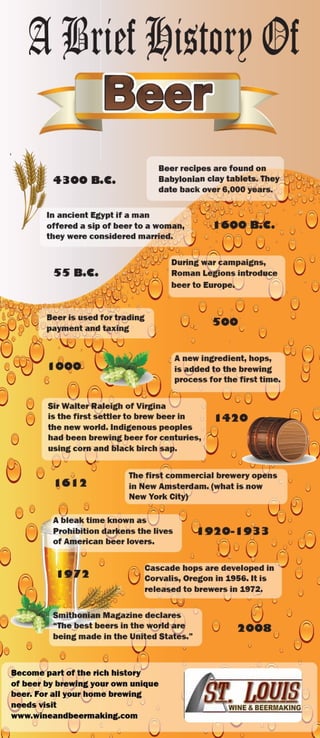 Beer infographic