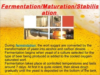 Fermentation/Maturation/Stabilis
ation
During fermentation, the wort sugars are converted by the
transformation of yeast into alcohol and carbon dioxide.
Fermentation begins when yeast of a culture selected for the
type of beer being produced is added to the cooled oxygen-
saturated wort.
Fermentation takes place at controlled temperatures and lasts
around 7 days. At first it is quite violent, then slows down
gradually until the yeast is deposited on the bottom of the tank.
 