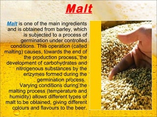 Malt
Malt is one of the main ingredients
and is obtained from barley, which
is subjected to a process of
germination under controlled
conditions. This operation (called
malting) causes, towards the end of
the production process, the
development of carbohydrates and
nitrogenous substances by the
enzymes formed during the
germination process.
Varying conditions during the
malting process (temperature and
humidity) allows different types of
malt to be obtained, giving different
colours and flavours to the beer.
 