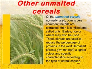 Other unmalted
cereals
Of the unmalted cereals
normally used, corn is very
common; the oils are
extracted, then it is milled and
called grits. Barley, rice or
wheat may also be used.
These cereals are used to
reduce the percentage of
proteins in the wort.Unmalted
cereals give the beer a lighter
colour and specific
characteristics according to
the type of cereal chosen.
 