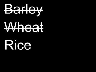 BarleyWheatRice