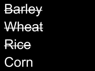 BarleyWheatRiceCorn