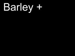 Barley +