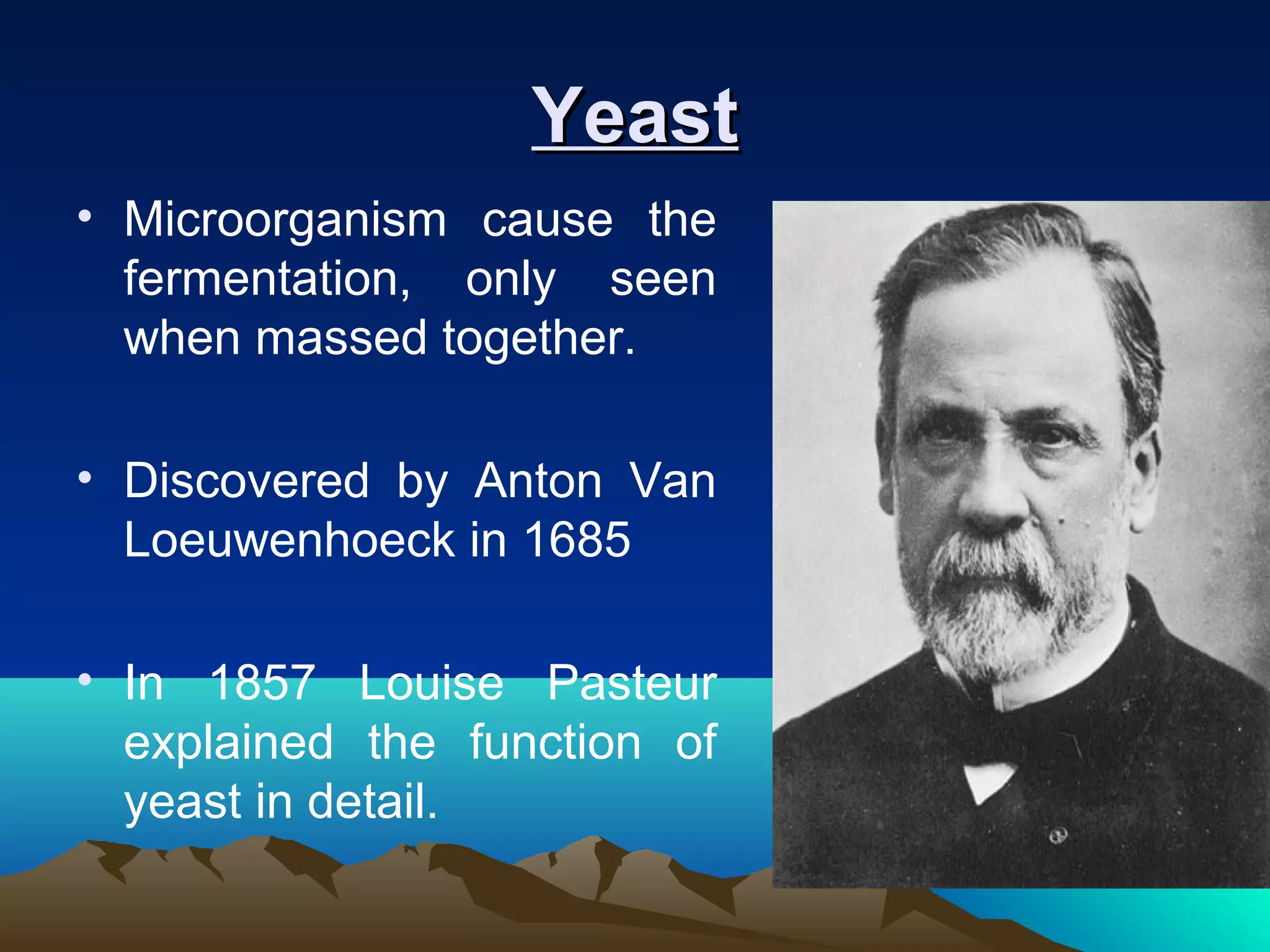 YeastYeast
• Microorganism cause the
fermentation, only seen
when massed together.
• Discovered by Anton Van
Loeuwenhoeck in 1685
• In 1857 Louise Pasteur
explained the function of
yeast in detail.
 