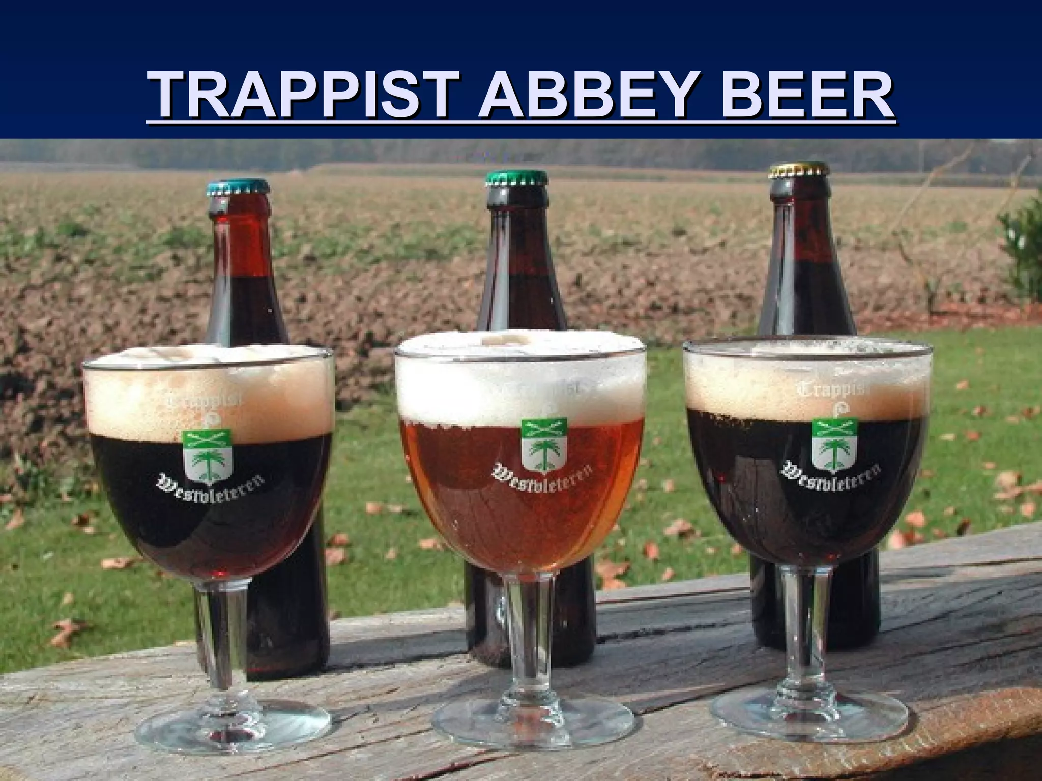 TRAPPIST ABBEY BEERTRAPPIST ABBEY BEER
 