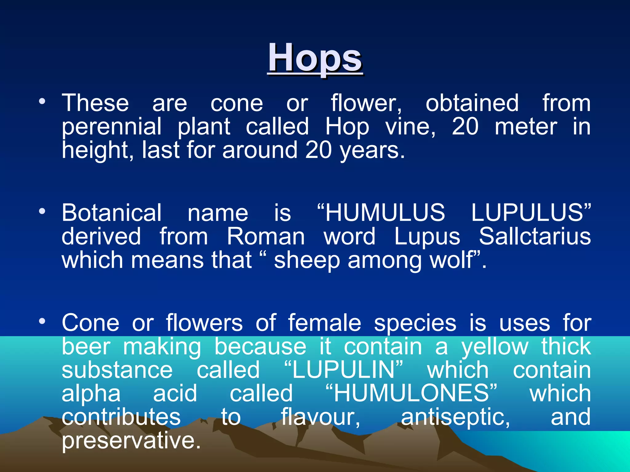 HopsHops
• These are cone or flower, obtained from
perennial plant called Hop vine, 20 meter in
height, last for around 20 years.
• Botanical name is “HUMULUS LUPULUS”
derived from Roman word Lupus Sallctarius
which means that “ sheep among wolf”.
• Cone or flowers of female species is uses for
beer making because it contain a yellow thick
substance called “LUPULIN” which contain
alpha acid called “HUMULONES” which
contributes to flavour, antiseptic, and
preservative.
 