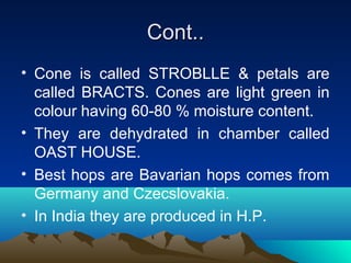 Cont..Cont..
• Cone is called STROBLLE & petals are
called BRACTS. Cones are light green in
colour having 60-80 % moisture content.
• They are dehydrated in chamber called
OAST HOUSE.
• Best hops are Bavarian hops comes from
Germany and Czecslovakia.
• In India they are produced in H.P.
 