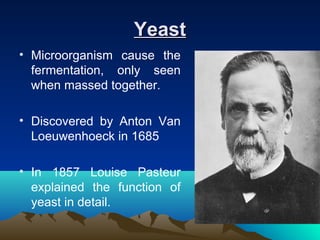 YeastYeast
• Microorganism cause the
fermentation, only seen
when massed together.
• Discovered by Anton Van
Loeuwenhoeck in 1685
• In 1857 Louise Pasteur
explained the function of
yeast in detail.
 