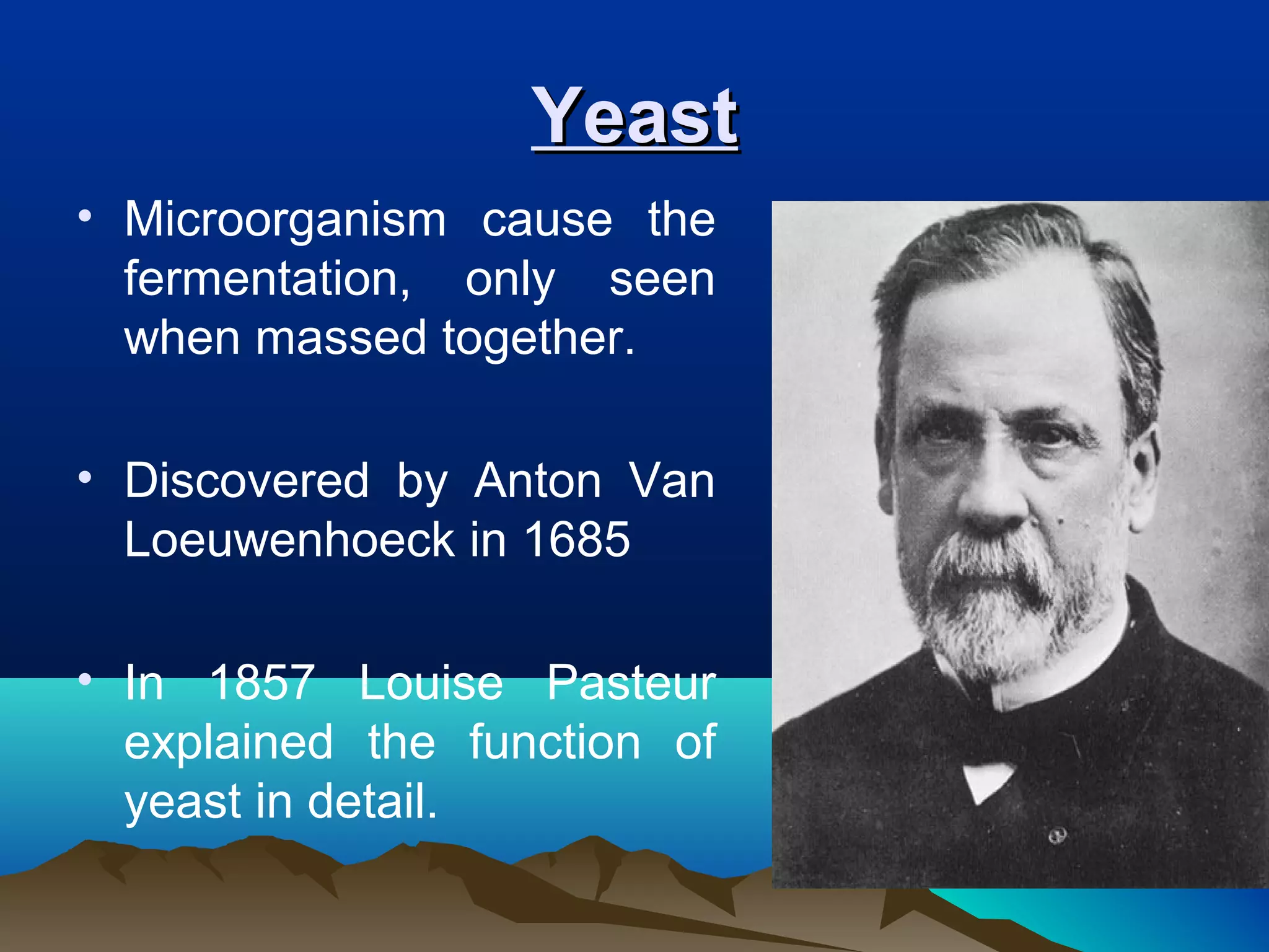 YeastYeast
• Microorganism cause the
fermentation, only seen
when massed together.
• Discovered by Anton Van
Loeuwenhoeck in 1685
• In 1857 Louise Pasteur
explained the function of
yeast in detail.
 