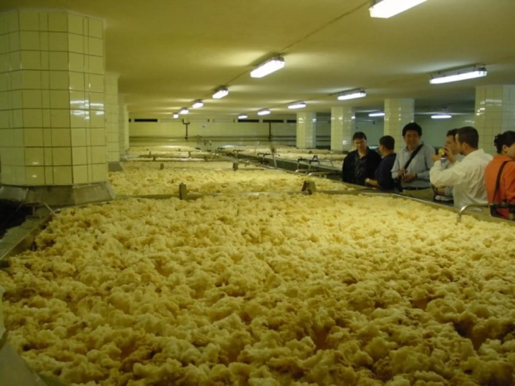 Fermentation TankFermentation Tank
 