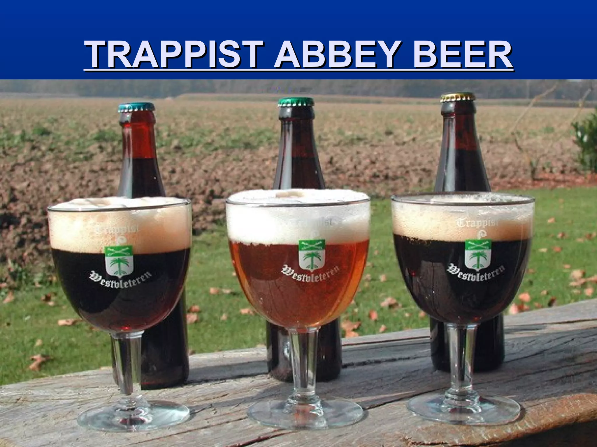 TRAPPIST ABBEY BEERTRAPPIST ABBEY BEER
 