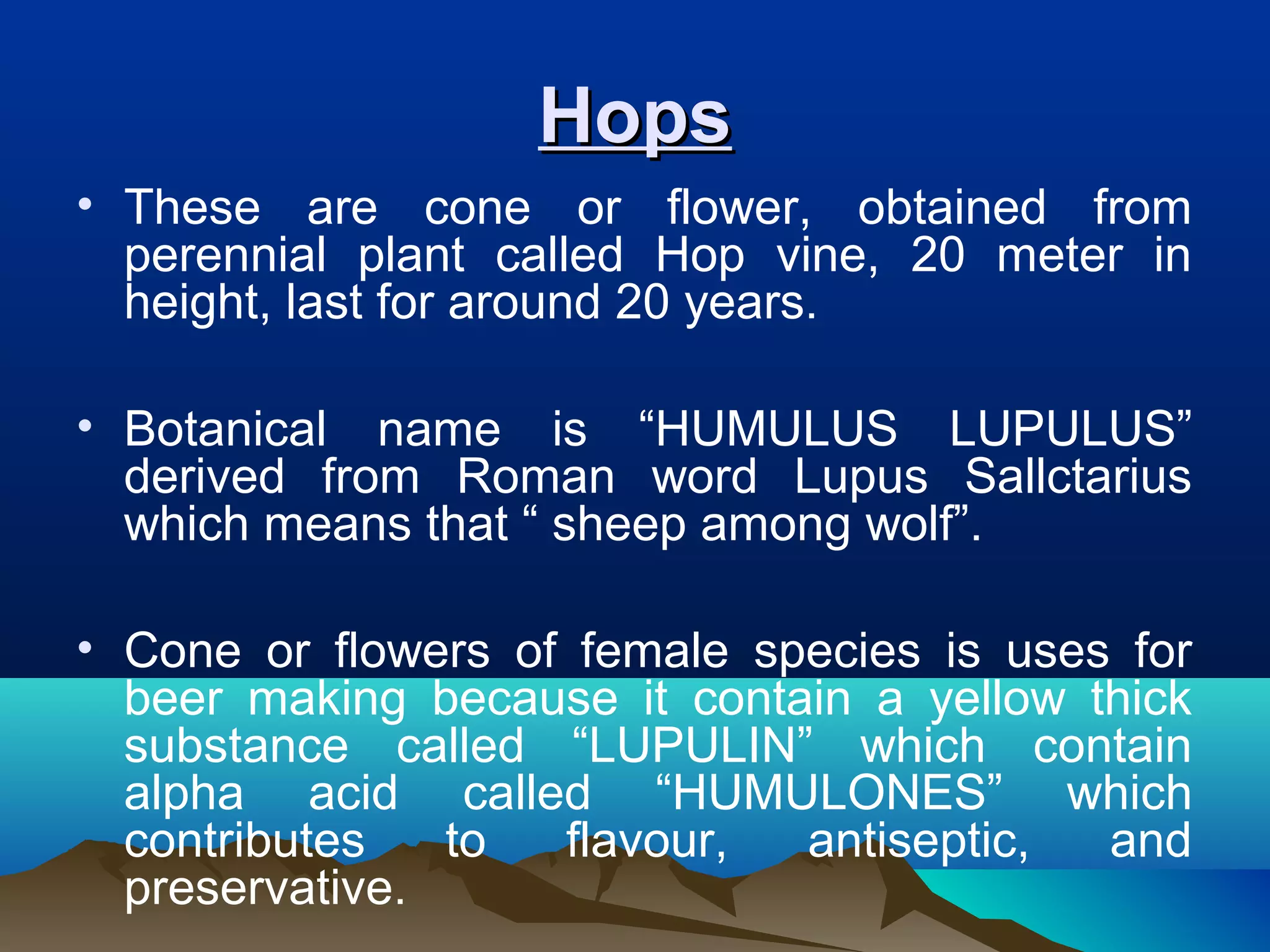 HopsHops
• These are cone or flower, obtained from
perennial plant called Hop vine, 20 meter in
height, last for around 20 years.
• Botanical name is “HUMULUS LUPULUS”
derived from Roman word Lupus Sallctarius
which means that “ sheep among wolf”.
• Cone or flowers of female species is uses for
beer making because it contain a yellow thick
substance called “LUPULIN” which contain
alpha acid called “HUMULONES” which
contributes to flavour, antiseptic, and
preservative.
 