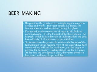 beer ppt.pptx
