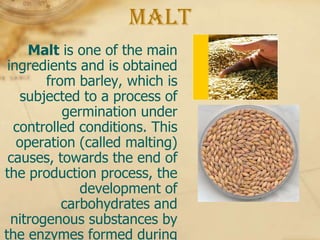 Malt
     Malt is one of the main
 ingredients and is obtained
        from barley, which is
   subjected to a process of
           germination under
  controlled conditions. This
   operation (called malting)
 causes, towards the end of
the production process, the
              development of
           carbohydrates and
  nitrogenous substances by
the enzymes formed during
 
