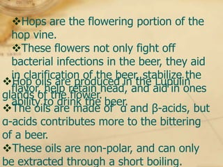 Hops are the flowering portion of the
  hop vine.
  These flowers not only fight off
  bacterial infections in the beer, they aid
  in clarification of the beer, stabilize the
Hop oils are produced in the Lupulin
  flavor, help retain head, and aid in ones
glands of the flower.
  ability to drink the beer.
The oils are made of α and β-acids, but
α-acids contributes more to the bittering
of a beer.
These oils are non-polar, and can only
be extracted through a short boiling.
 
