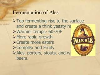 Fermentation of Ales
Top fermenting-rise to the surface
 and create a think yeasty head.
Warmer temps- 60-70F
More rapid growth
Create more esters
Complex and Fruity
Ales, porters, stouts, and wheat
 beers.
 