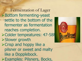 Fermentation of Lager
Bottom fermenting-yeast
 settle to the bottom of the
 fermenter as fermentation
 reaches completion.
Colder tempeatures: 47-58F
Slower growth
Crisp and hoppy like a
 pilsner or sweet and malty
 like a Dopplebock.
Examples: Pilsners, Bocks,
 