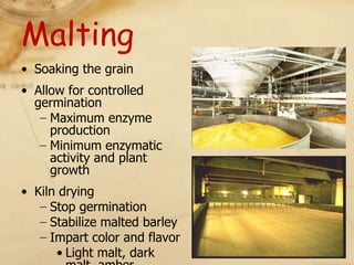 Malting
• Soaking the grain
• Allow for controlled
  germination
   − Maximum enzyme
     production
   − Minimum enzymatic
     activity and plant
     growth
• Kiln drying
   − Stop germination
   − Stabilize malted barley
   − Impart color and flavor
      • Light malt, dark
 