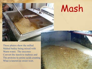 Mash


These photos show the milled
Malted barley being mixed with
Warm water. The enzymes
Convert the starch to maltose and
The proteins to amino acids creating
What is known as sweet wort.
 
