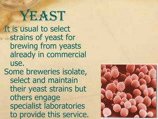 Yeast
It is usual to select
  strains of yeast for
  brewing from yeasts
  already in commercial
  use.
Some breweries isolate,
  select and maintain
  their yeast strains but
  others engage
  specialist laboratories
  to provide this service.
 