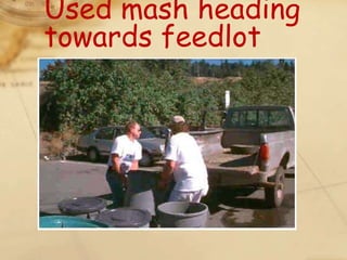Used mash heading
towards feedlot
 