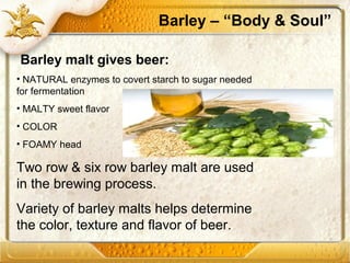 Barley – “Body & Soul”
Barley malt gives beer:
• NATURAL enzymes to covert starch to sugar needed
for fermentation
• MALTY sweet flavor
• COLOR
• FOAMY head
Two row & six row barley malt are used
in the brewing process.
Variety of barley malts helps determine
the color, texture and flavor of beer.
 