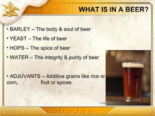 beer production.pdf