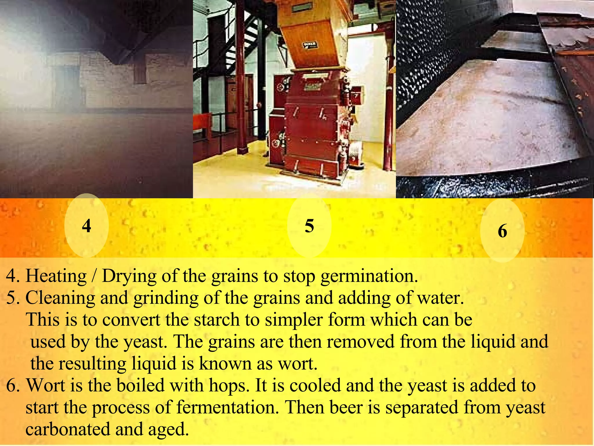 4 5 6 4. Heating / Drying of the grains to stop germination. 5. Cleaning and grinding of the grains and adding of water.  This is to convert the starch to simpler form which can be  used by the yeast. The grains are then removed from the liquid and  the resulting liquid is known as wort. 6. Wort is the boiled with hops. It is cooled and the yeast is added to  start the process of fermentation. Then beer is separated from yeast  carbonated and aged. 