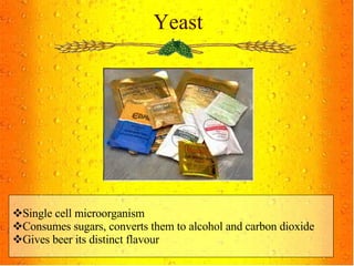 Yeast Single cell microorganism Consumes sugars, converts them to alcohol and carbon dioxide Gives beer its distinct flavour 