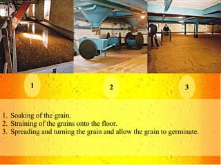 1 2 3 Soaking of the grain. Straining of the grains onto the floor. Spreading and turning the grain and allow the grain to germinate. 