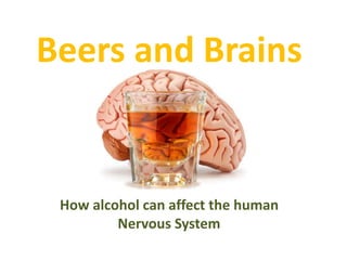 Beers and Brains
How alcohol can affect the human
Nervous System
 