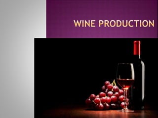 Beer &wine production