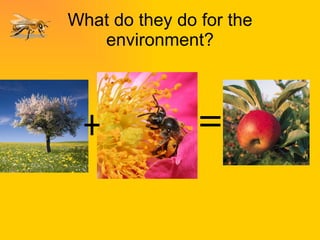 What do they do for the environment? 