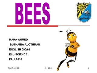 MAHA AHMED 2-1-2011 BEES MAHA AHMED BUTHAINA ALOTHMAN ENGLISH 090/60 ELU-SCIENCE FALL2010 