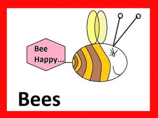Bees

 