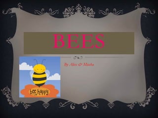 BEES
By Alex & Mischa
 