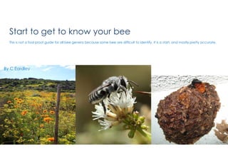 Start to get to know your bee
This is not a fool proof guide for all bee genera because some bee are difficult to identify. It is a start, and mostly pretty accurate.
By C Eardley
 