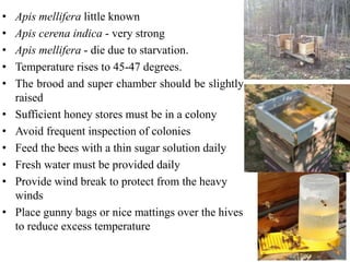 BEES: seasonal management of honey Bees.pptx